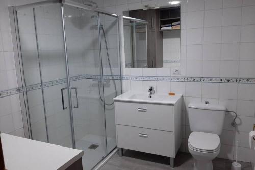 een badkamer met een douche, een toilet en een wastafel bij BURGOS CONTEMPLA Centro histórico. Frente al arco in Burgos