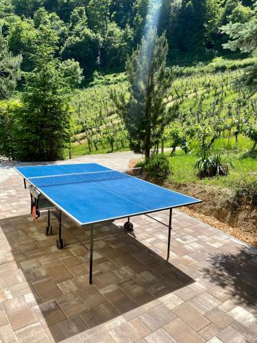 a blue ping pong table sitting on a patio at Villam Apartment in Maribor
