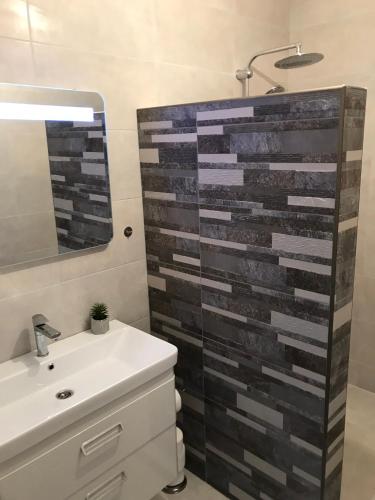 a bathroom with a shower with a sink and a mirror at Villa Dafina in Donji Štoj