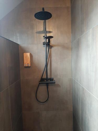 a shower with a shower head in a bathroom at De Sarrieshut in Houwerzijl