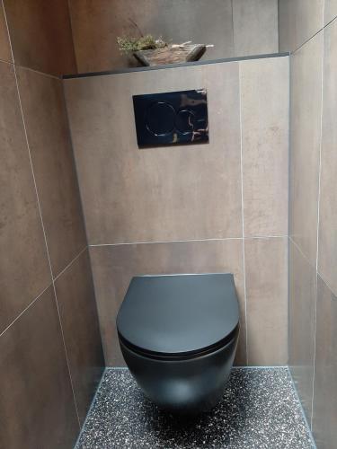 a bathroom with a black toilet in a room at De Sarrieshut in Houwerzijl