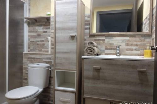 a bathroom with a toilet and a sink and a mirror at Apartamento Casa Barquero Bronchales in Bronchales