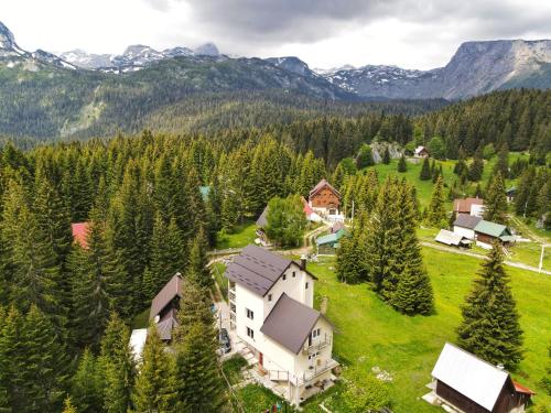 an aerial view of a house in the mountains at Apartment Durmitor in Žabljak