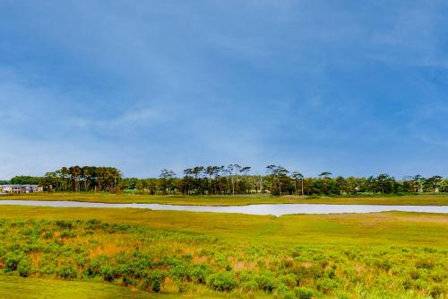 Bethany Bay - Big Marsh – Photos 2
