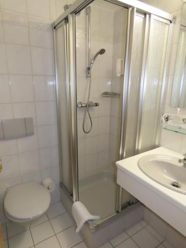 a bathroom with a shower and a toilet and a sink at Schreyers Hotel Restaurant Mutzel in Schluchsee