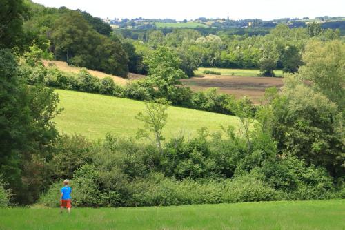 a person standing in a field looking out over a field at La Maison de Louis in Francon