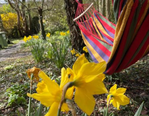 a colorful umbrella and yellow flowers in a garden at Retro Lodge nr Dartoor with hot tub & opt sauna in Newton Abbot