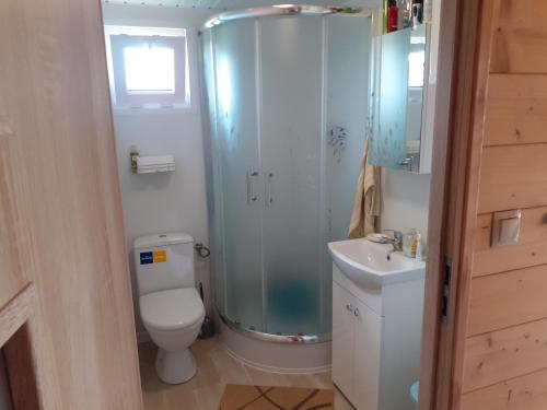 uma casa de banho com um chuveiro, um WC e um lavatório. em Domek letniskowy Nad Stawami em Supraśl