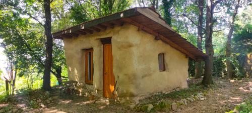 a small house in the middle of a forest at Associação Quinta das Relvas in Branca