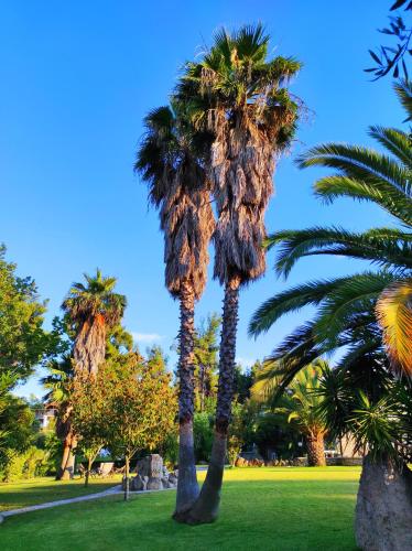 Gallery image of Chrouso Apartments in Paliouri