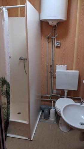 a bathroom with a toilet and a sink at Bjarnastaðir Guesthouse in Kópasker