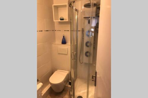 een badkamer met een toilet en een glazen douche bij La petite oasis, newly renovated in Toulon