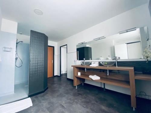 a bathroom with a sink and a mirror at Hotel Air-lane in Saint-Léger-sous-Brienne