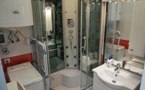 y baño con ducha y lavamanos. en Belvarosi Exkluzív Minigarzon en Debrecen
