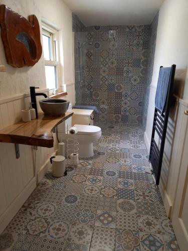 a bathroom with a toilet and a sink at Mary's Bespoke Cottage in Killarney