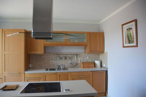 a kitchen with wooden cabinets and a stove top oven at SOSNOWA 23 in Tenczynek