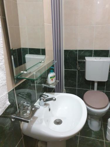 ein Bad mit einem Waschbecken und einem WC in der Unterkunft Izdajem studio - apartman in Igalo