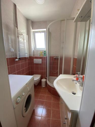 a bathroom with a sink and a washing machine at Gala Posh in Soko Banja