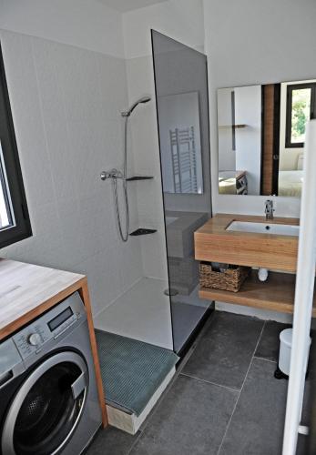 une salle de bain avec une machine à laver et un lavabo dans l'établissement Villa-jacuzzi-1chb-jardin-10minsAixEnPce-QuartierChic, à Meyrargues