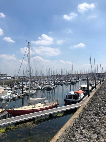 a bunch of boats docked in a marina at Vakantiewoning De Bosrand Aan Zee in Sint Annaland
