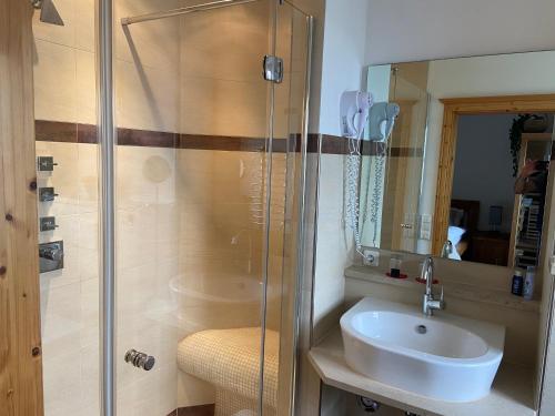 a bathroom with a sink and a glass shower at Golfchalet Uttlau in Bad Griesbach