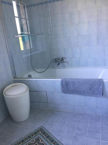 La salle de bains est pourvue de toilettes et d'une baignoire avec douche. dans l'établissement LA BASTIDE DE CHARME, à Vence