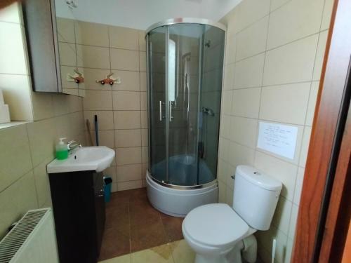 uma casa de banho com um chuveiro, um WC e um lavatório. em Przywiśle em Ustroń