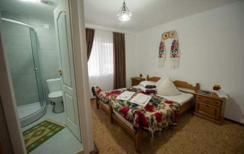 a bedroom with a bed and a bathroom with a shower at Pensiunea Casa Mariuca in Văleni