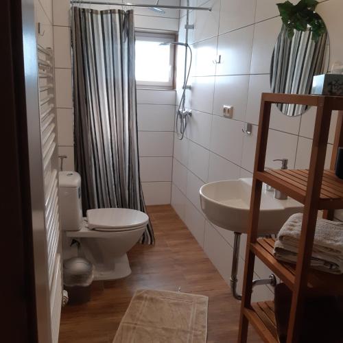 łazienka z toaletą i umywalką w obiekcie Am Hohestein w mieście Briedeler Heck