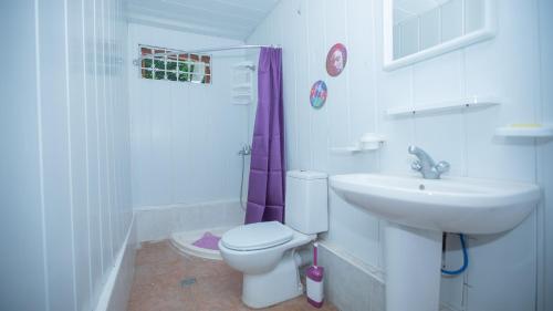 a bathroom with a toilet and a sink at Эко-дом в горах in Ch'aisubani