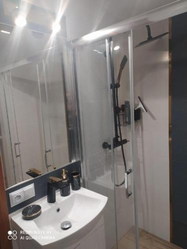 a bathroom with a white sink and a shower at Domki nad Nieliszem - dom brzozowy in Nielisz