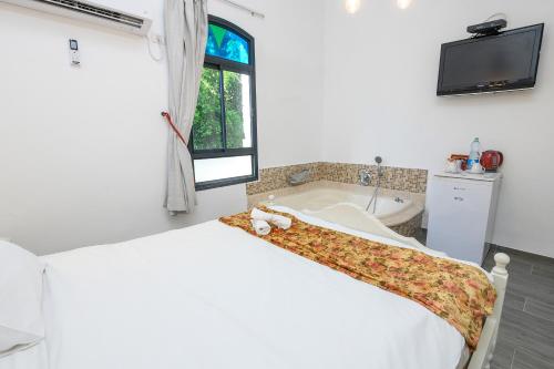 a bedroom with a bed and a tub and a tv at Shirat Hayam Boutique Hotel in Tiberias