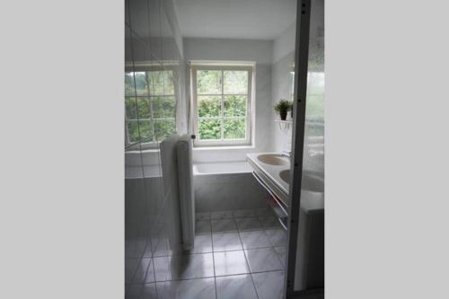 uma casa de banho com um lavatório e uma janela em Grüne Wohlfühloase mit einmaliger Aussicht em Königswinter