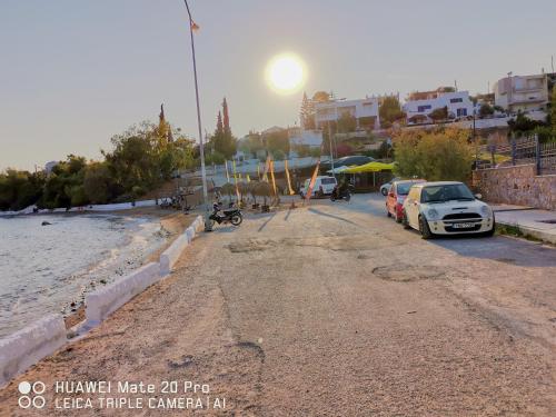 a dirt road next to a beach with cars and animals at Ξένιος Ζευς Ηλιακτής. Χώρος Χαλάρωσης & Ξεκούρασης in Áyios Yeóryios