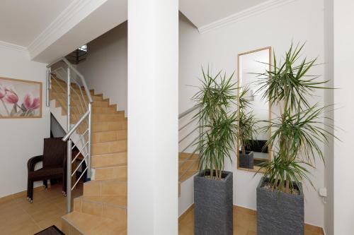 a hallway with two potted plants next to a staircase at Andi Apartman in Hévíz