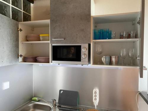 eine Küche mit einer Spüle und einer Mikrowelle über einer Theke in der Unterkunft Overpoint Panorama in Sasbachwalden