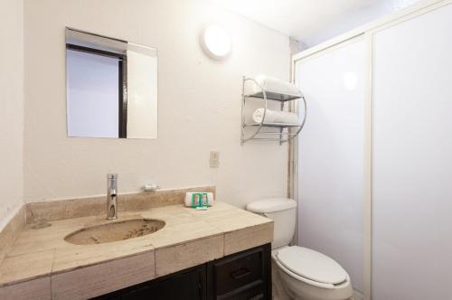 een badkamer met een wastafel, een toilet en een spiegel bij Suite 1-B El Rincón Garden House, Welcome To San Angel in Mexico-Stad