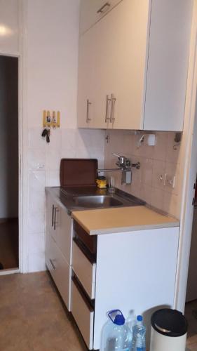 a small kitchen with white cabinets and a sink at Guesthouse Ljilja - apartment with balcony 2 in Meljine