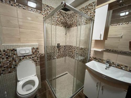 a bathroom with a shower and a toilet and a sink at Apartment Zevs 1 in Budva