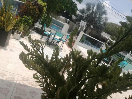 vistas a un patio con sillas y plantas en Hotel Cartagena Airport en Cartagena de Indias