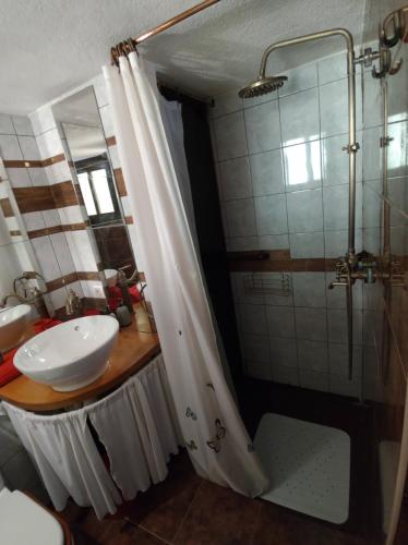 コルチュラにあるVilla Katićの洗面台とシャワー付きのバスルーム