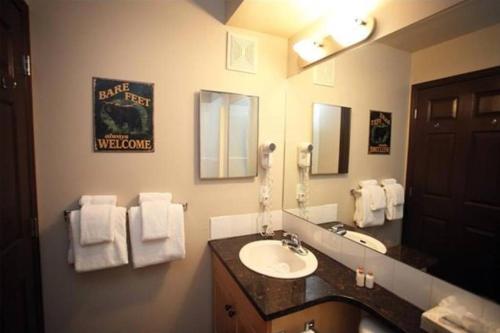 Bathroom sa Delightful Chalet 2BD 2BA Pool Hot Tub BBQ Private Entry Park Pass