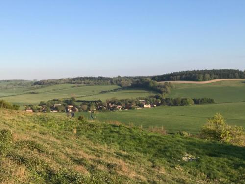 a view of the rolling green hills at Charlton End - Goodwood Events in Chichester
