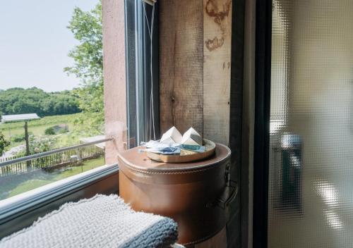 a toilet sitting in a window with a view at Casale Caldesòra AgriBoutique BnB the Charme in Vittorio Veneto