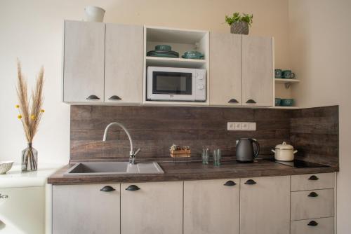 a kitchen with a sink and a microwave at Stará Celnice Kvilda in Kvilda
