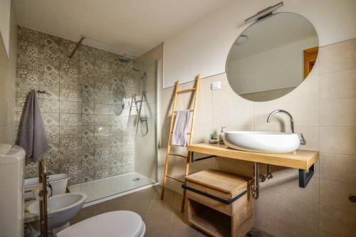 La salle de bains est pourvue d'un lavabo, de toilettes et d'un miroir. dans l'établissement Lovely Istrian house - Šegon, à Plomin