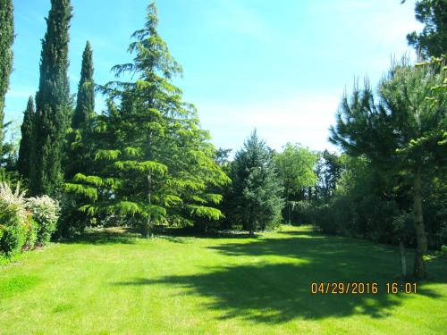 a large grass field with trees in a park at le vieux pont in Carpentras