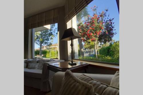 a living room with couches and a large window with a tree at Virna s home in Schinias