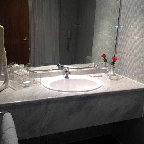 a bathroom counter with a sink and a mirror at Amarante Pyramids Hotel in Cairo