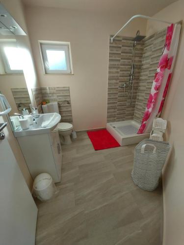 uma casa de banho com um WC com lavatório e um chuveiro em Teta San em Motovun
